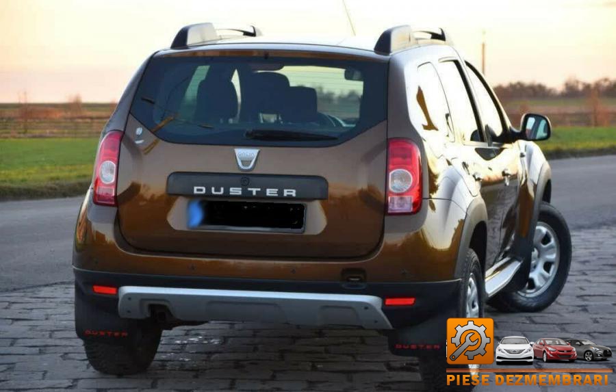 Axe cu came dacia duster 2014