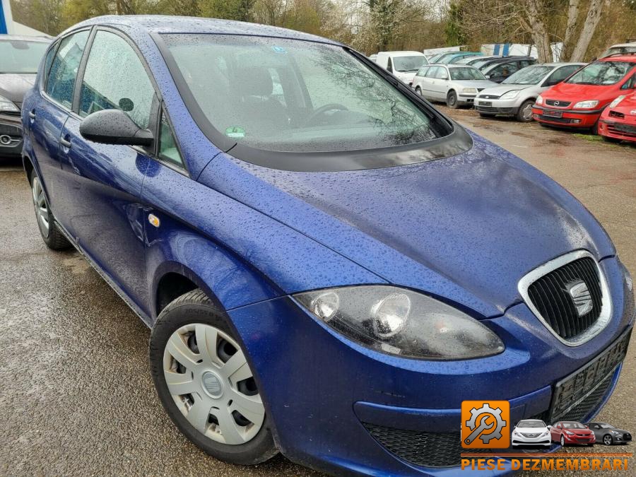 Axe cu came seat toledo 2007