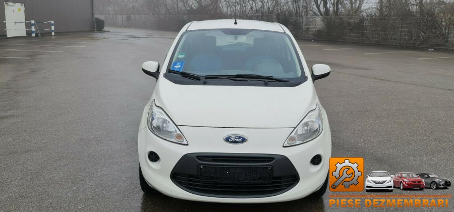 Baie ulei cutie ford ka 2009