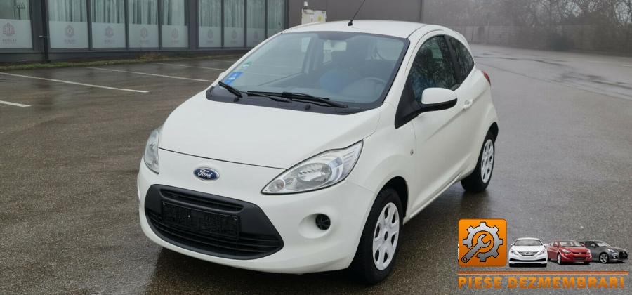 Baie ulei cutie ford ka 2009