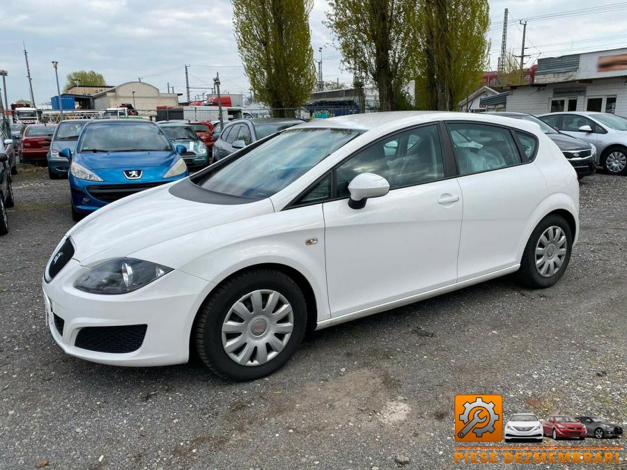 Baie ulei seat leon 2011