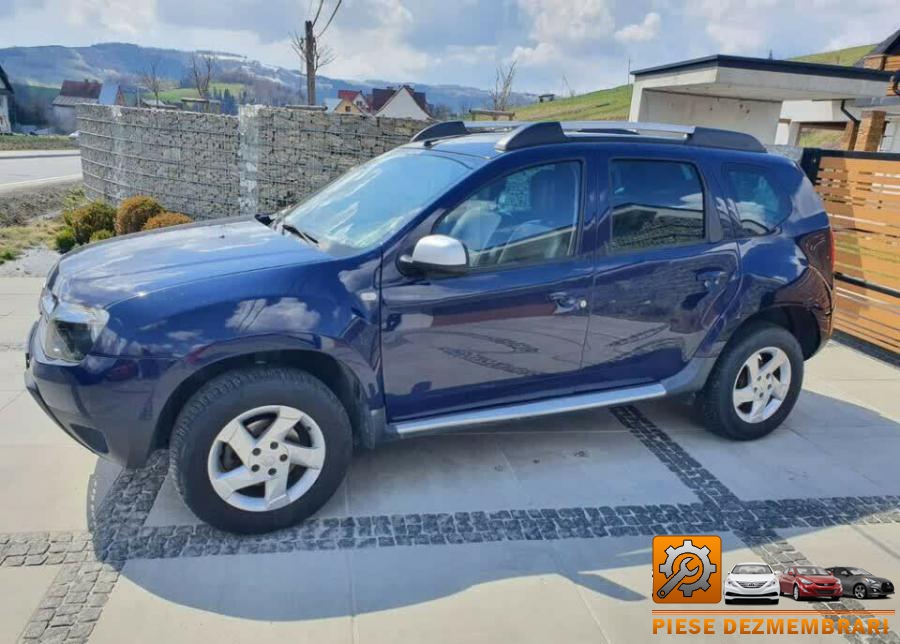 Catalizator dacia duster 2014