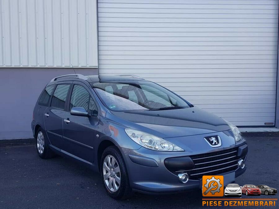 Chiuloasa peugeot 307 2008