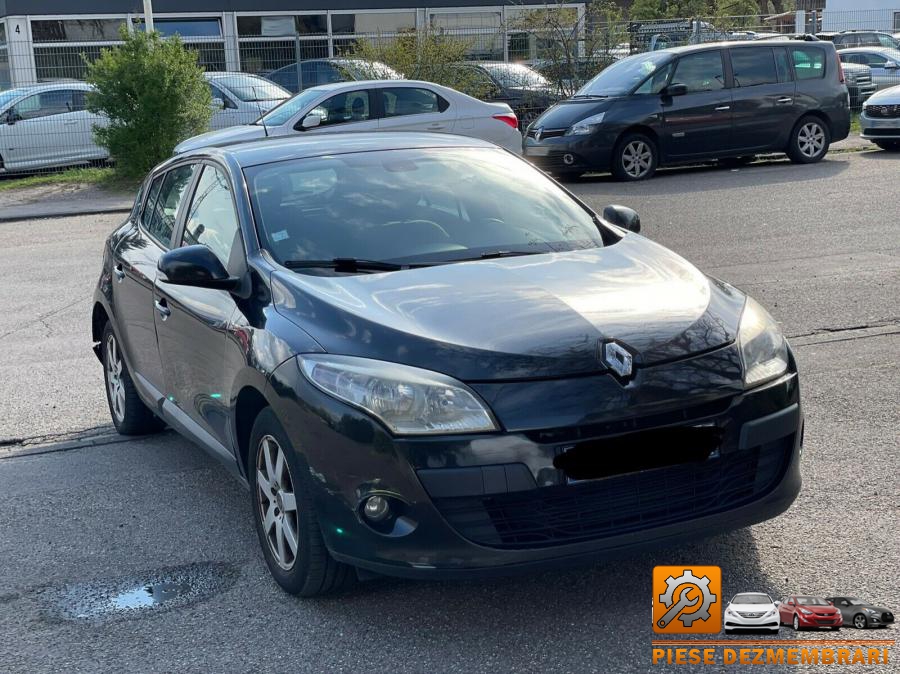 Galerie admisie renault megane 2011