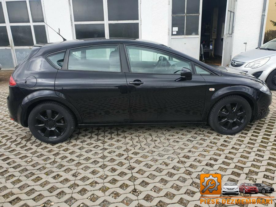 Luneta seat leon 2011