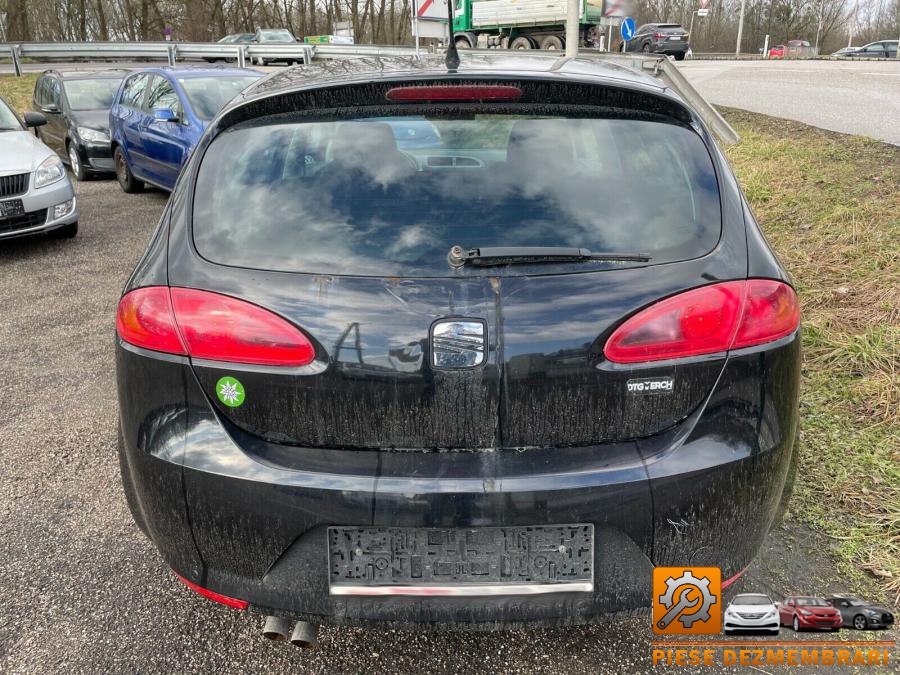 Plafon caroserie seat leon 2011