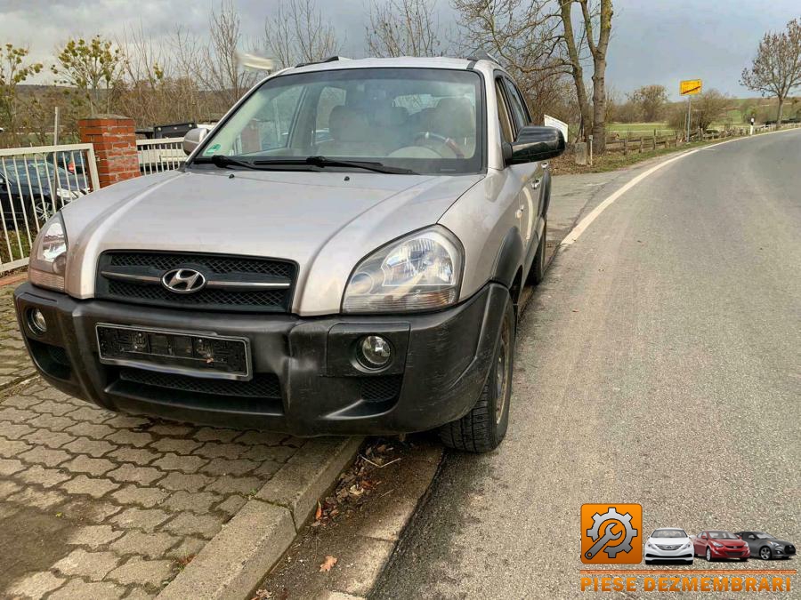 Portbagaj hyundai tucson 2009