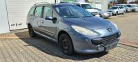 Amortizor capota peugeot 307 2008