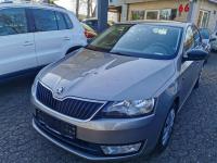 Galerie evacuare skoda rapid 2015