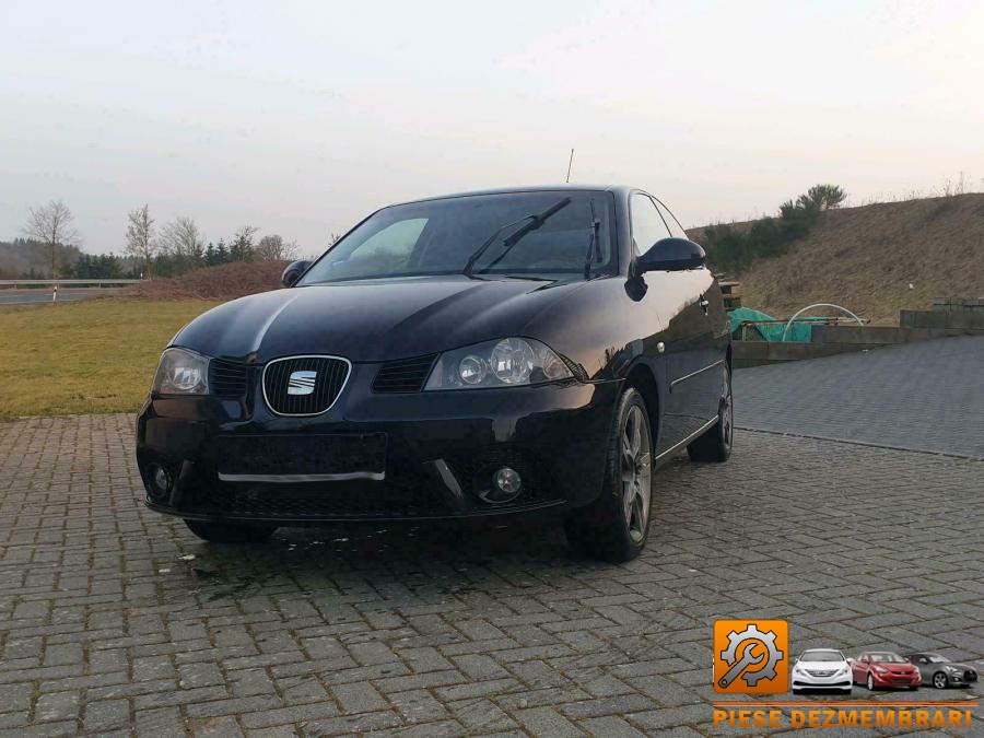 Vas expansiune-motor seat ibiza 2005